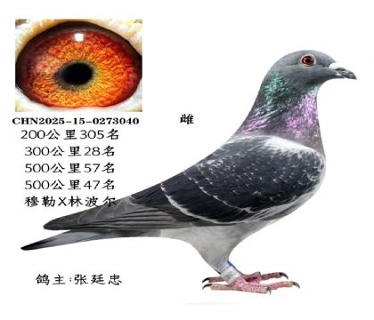 ΢�ňDƬ_20251225115656_2821_6