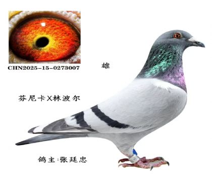 ΢�ňDƬ_20251225115657_2822_6