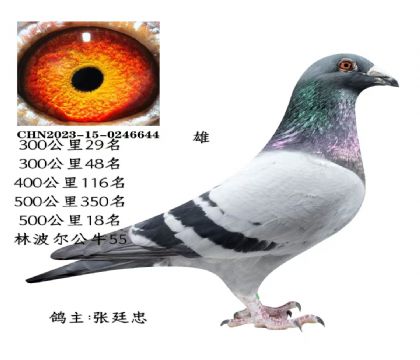 ΢�ňDƬ_20251225115657_2823_6