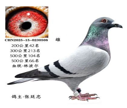 ΢�ňDƬ_20251225115658_2824_6