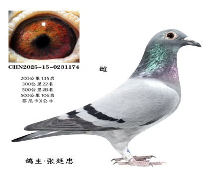 ΢�ňDƬ_20251225115659_2825_6