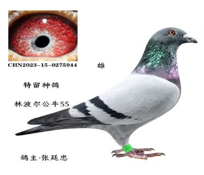 ΢�ňDƬ_20251225115700_2826_6