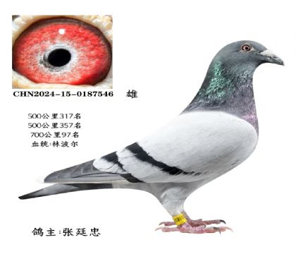 ΢�ňDƬ_20251225115702_2828_6