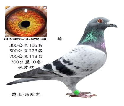 ΢�ňDƬ_20251225115701_2827_6