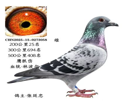 ΢�ňDƬ_20251225115703_2829_6