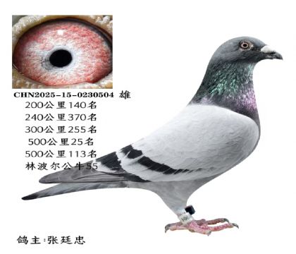 ΢�ňDƬ_20251225115704_2830_6