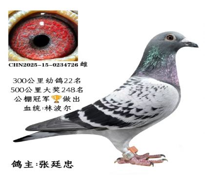 ΢�ňDƬ_20251225115705_2831_6