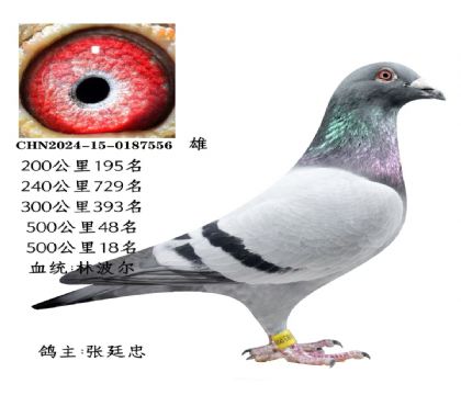 ΢�ňDƬ_20251225115706_2832_6