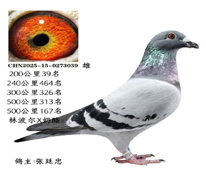 ΢�ňDƬ_20251225115706_2833_6