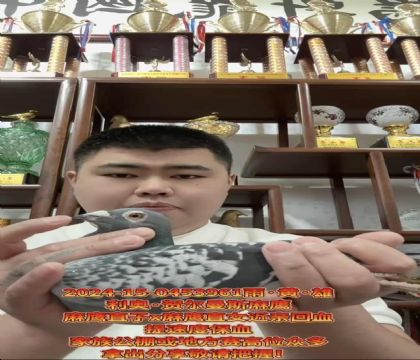 ��(d��ng)�����ٶȰ���/���W�R����˹����ֱ��X(ju��)����ֱŮ��Ѫ