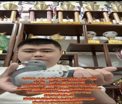 ��(d��ng)�����ٶȰ���/���W�R����˹����ֱ��X(ju��)����ֱŮ��Ѫ