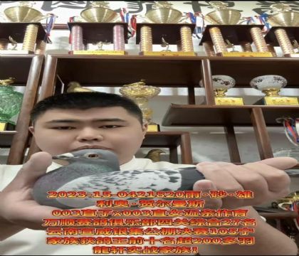 ��(d��ng)�������ٷ��������W�R����˹003ֱ��xֱŮ���H����