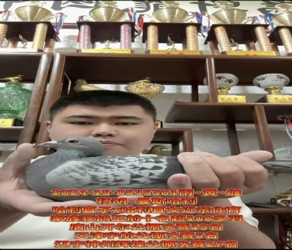 ��(d��ng)���������������˹����ֱ��X(ju��)����ֱŮ���H����