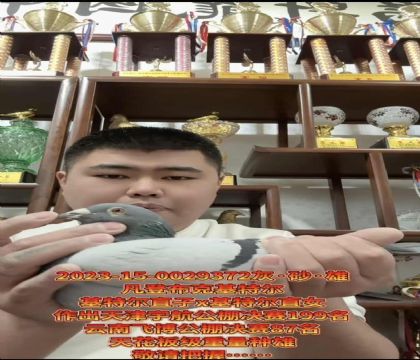 ���F��������x�����ǲ��ˡ����ؠ���ֱ��X(ju��)�����ؠ���ֱŮ