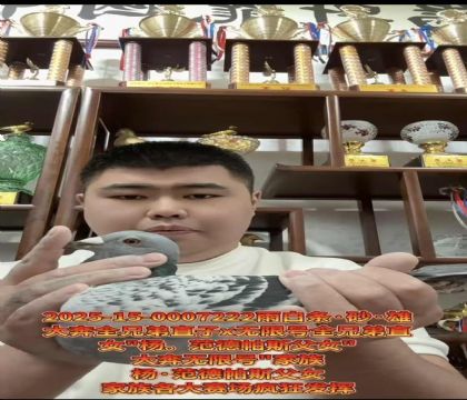 ��.������˹��Ů��ȫ�ֵ�ֱ��X(ju��)�o(w��)��̖(h��o)ȫ�ֵ�ֱŮ