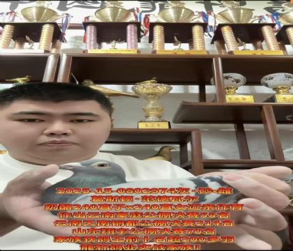 ��˹�D.�����ߠ�����240ֱ��X(ju��)240ֱŮ���H����