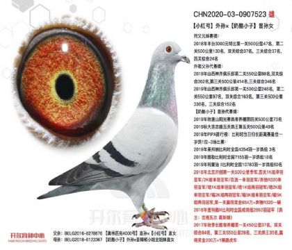 �_�����I(y��)�����ǲ��ˡ�-0907523