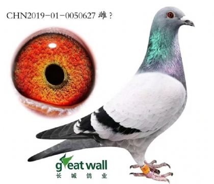 �L�����I(y��)�����������ˡ���-0050627