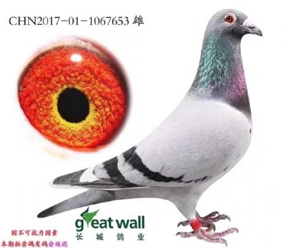 �L�����I(y��)���Z����-1067653