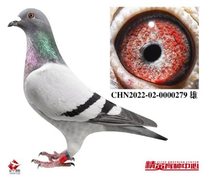 �W(li��n)���H������240��098��-000279