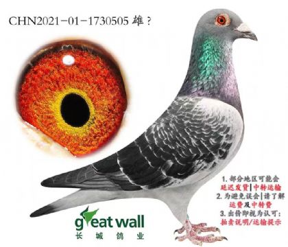 �L�����I(y��)���¸��׵ϡ���-1730505