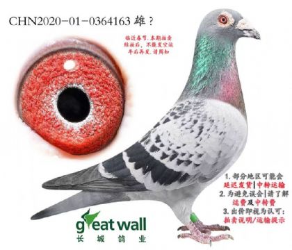 �L�����I(y��)���D��˹����-0364163