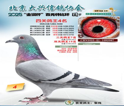 ��Ԫ�ر��Ĺظ���4��