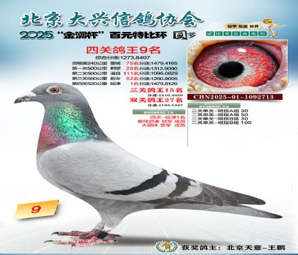 ��Ԫ�ر��Ĺظ���9��