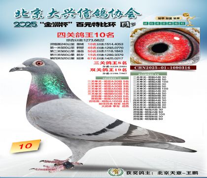 ��Ԫ�ر��Ĺظ���10��