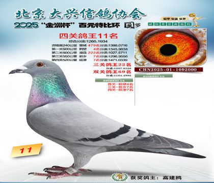 ��Ԫ�ر��Ĺظ���11��