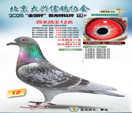 ��Ԫ�ر��Ĺظ���12��