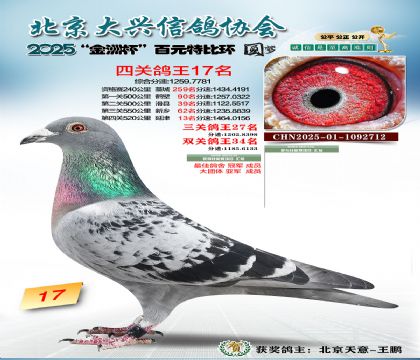 ��Ԫ�ر��Ĺظ���17��