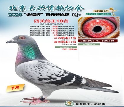 ��Ԫ�ر��Ĺظ���18��