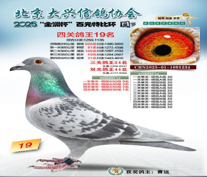 ��Ԫ�ر��Ĺظ���19��