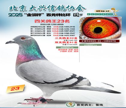 ��Ԫ�ر��Ĺظ���23��