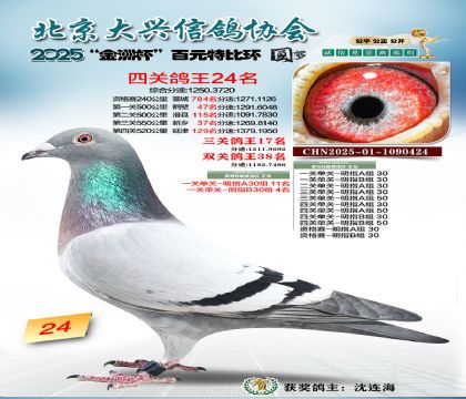 ��Ԫ�ر��Ĺظ���24��