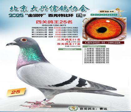 ��Ԫ�ر��Ĺظ���25��