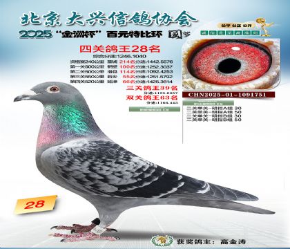 ��Ԫ�ر��Ĺظ���28��