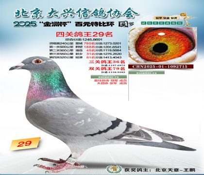 ��Ԫ�ر��Ĺظ���29��