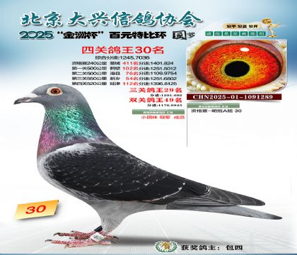 ��Ԫ�ر��Ĺظ���30��