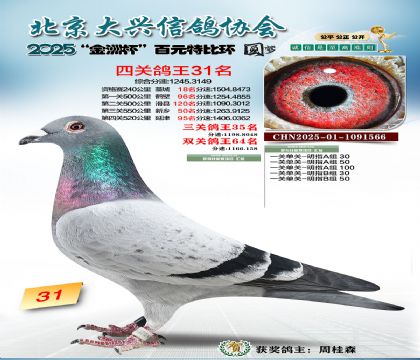 ��Ԫ�ر��Ĺظ���31��