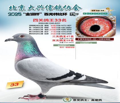 ��Ԫ�ر��Ĺظ���33��