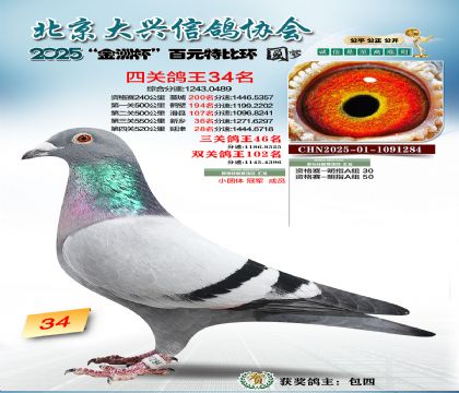 ��Ԫ�ر��Ĺظ���34��