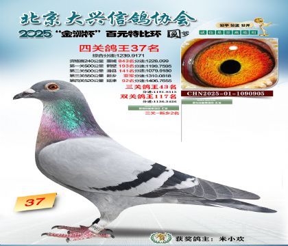 ��Ԫ�ر��Ĺظ���37��