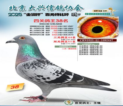 ��Ԫ�ر��Ĺظ���38��