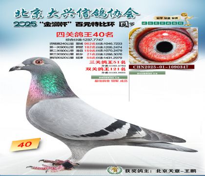 ��Ԫ�ر��Ĺظ���40��