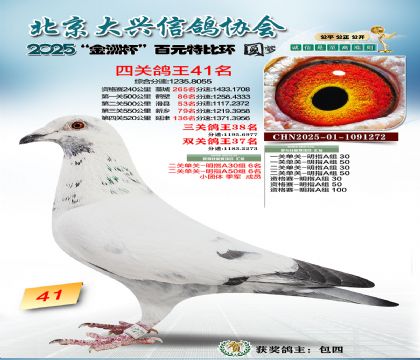 ��Ԫ�ر��Ĺظ���41��