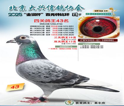 ��Ԫ�ر��Ĺظ���43��