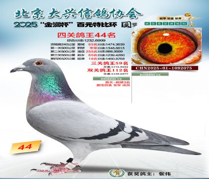 ��Ԫ�ر��Ĺظ���44��