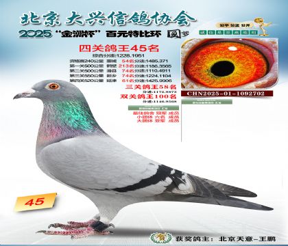 ��Ԫ�ر��Ĺظ���45��